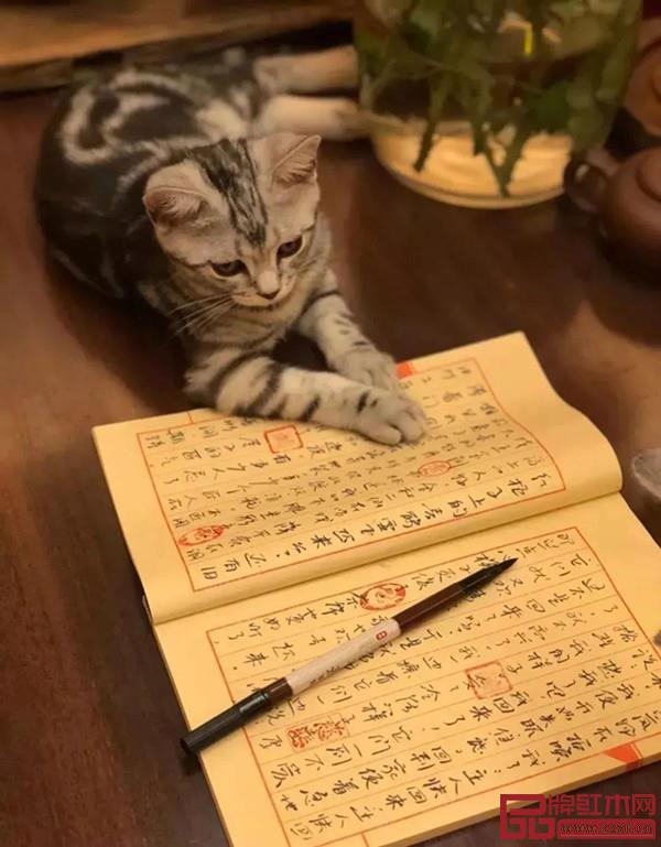 致遠家具產品圖 致遠家具產品圖
