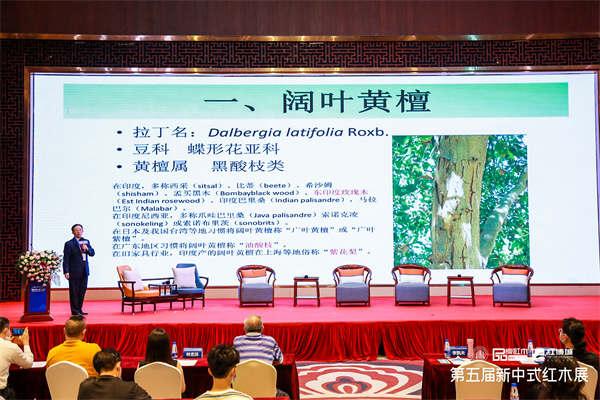 李凱夫老師解讀闊葉黃檀
