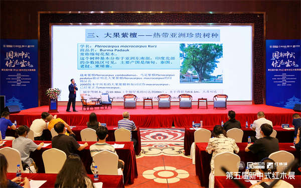 李凱夫老師解讀大果紫檀