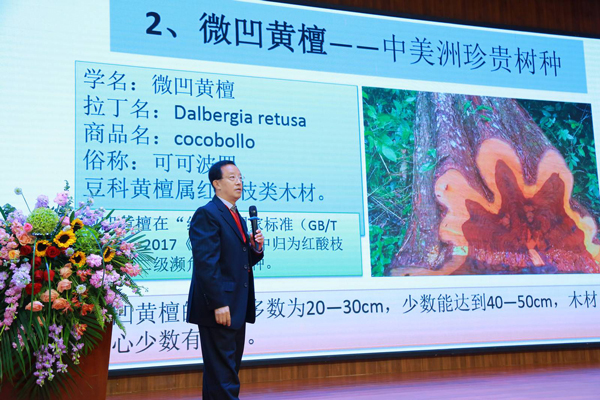李凱夫：紅木熱門樹種之特性與保健（內附視頻）