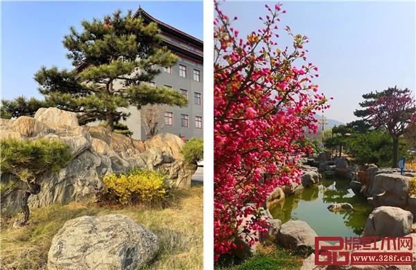 清風(fēng)明月本無價 近水遠(yuǎn)山皆有情