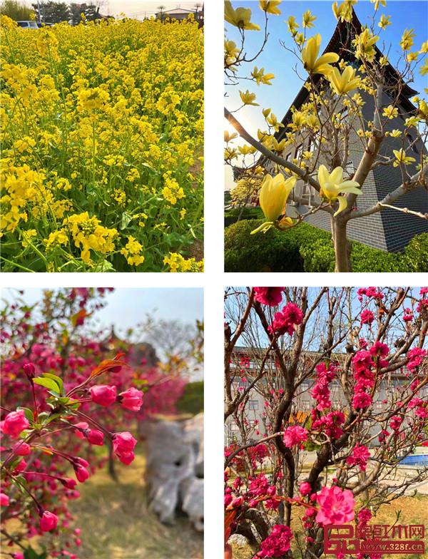 巧奪天工紅木傳世之家 | 俯仰之間皆風(fēng)景 邀您共賞“花園式工廠”