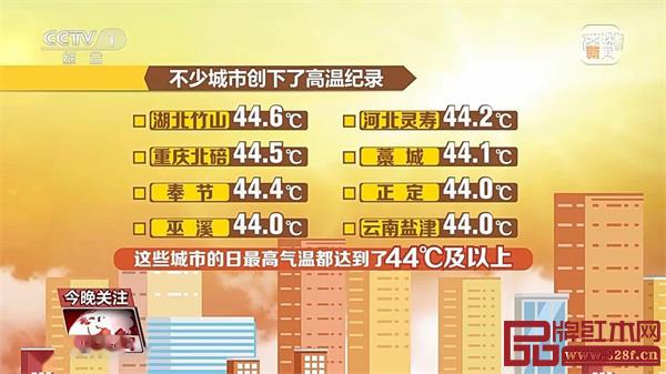 高溫納涼指南|以一盞清茶,覓得無上涼意 高溫納涼指南|以一盞清茶,覓得無上涼意