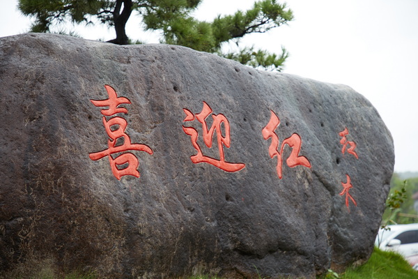 喜迎紅獲2022年度東陽市木雕紅木家具骨干企業 展紅酸枝品牌魅力