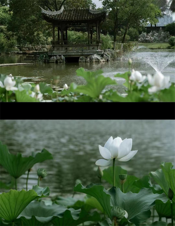 圖源:小紅書@墨塵TH(風景版) 圖源:小紅書@墨塵TH(風景版)
