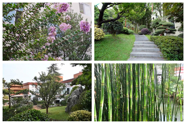 卓木王花園式工廠一步一景 卓木王花園式工廠一步一景