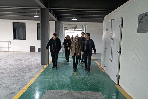 東陽市副市長龔杭娟（中）一行在董事長陸飛躍（右）的陪同下參觀喜迎紅紅木工廠