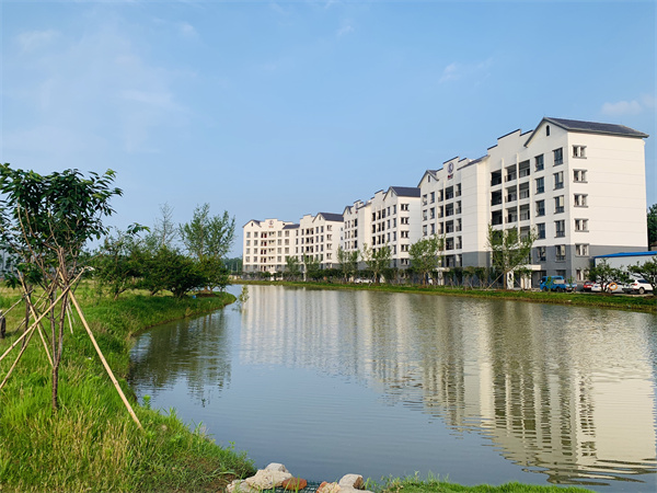 國壽紅木湖北工廠宿舍樓建筑群 國壽紅木湖北工廠宿舍樓建筑群