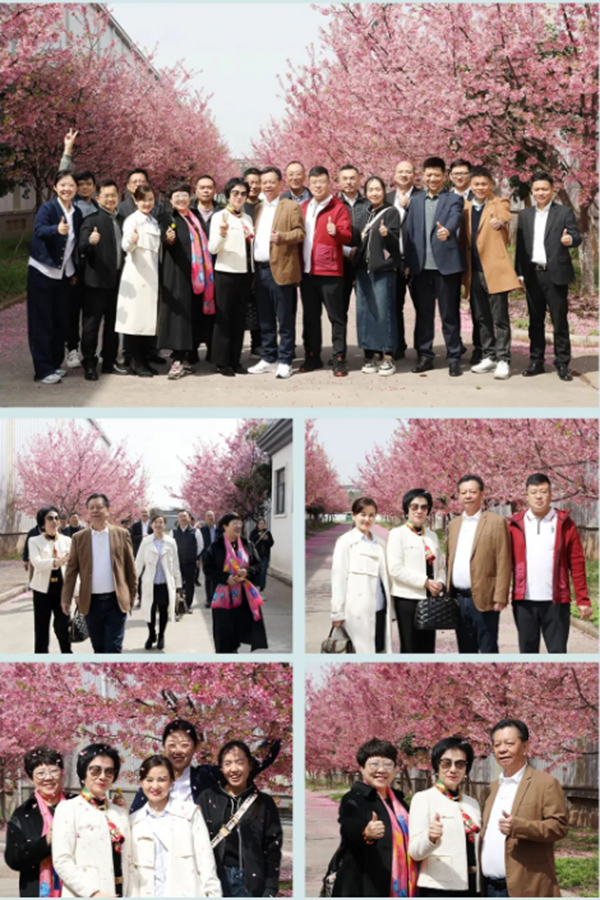 眾人一同賞櫻并合影留念 眾人一同賞櫻并合影留念