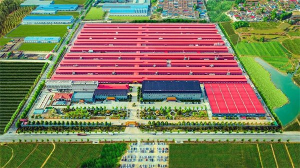 巧奪天工大國工廠 巧奪天工大國工廠