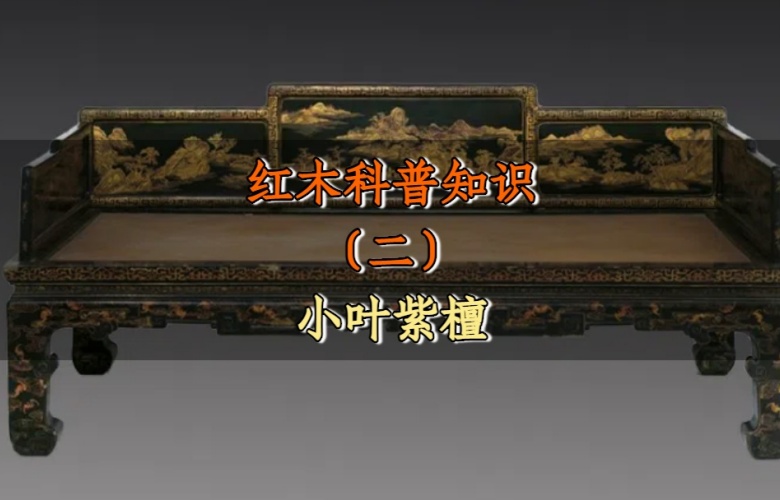 紅木科普知識（一）：小葉紫檀